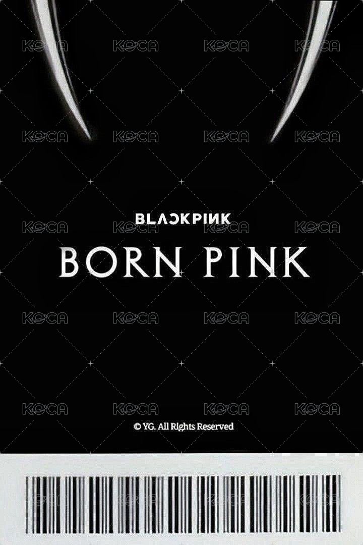 BORN PINK yg 抽選卡 中簽卡 背面
