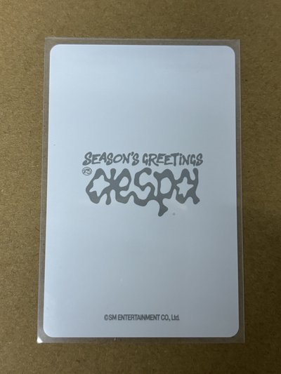 aespa Giselle 吉吉 2025年曆 隨機卡 後續 B版吉