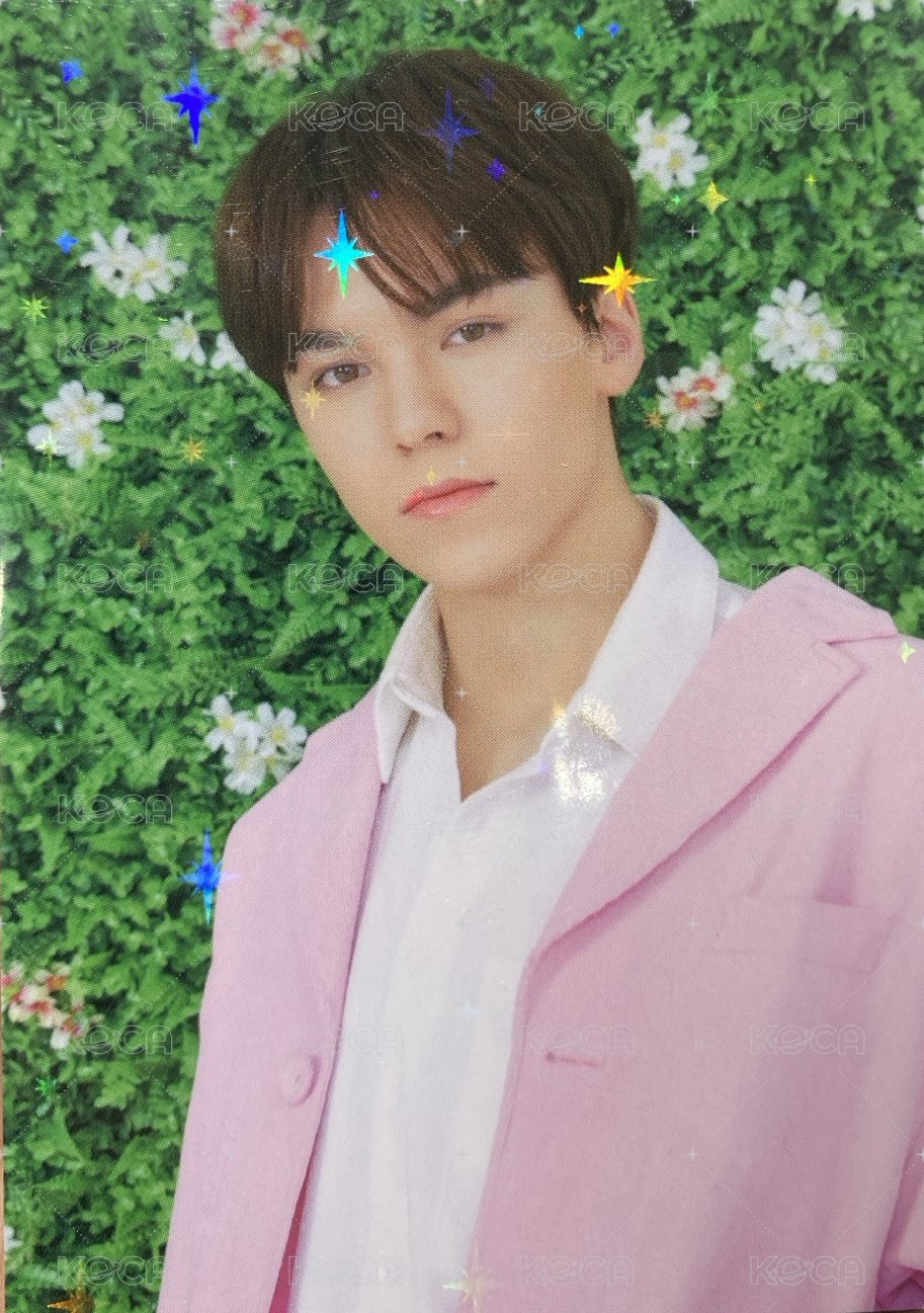 HARU 隨機卡  正面