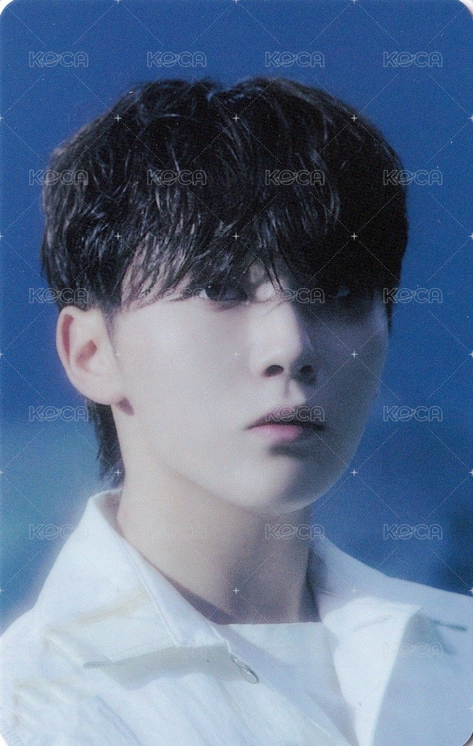 正四後續 專輯卡 正規四後續｜WVS電子專ver. 正面