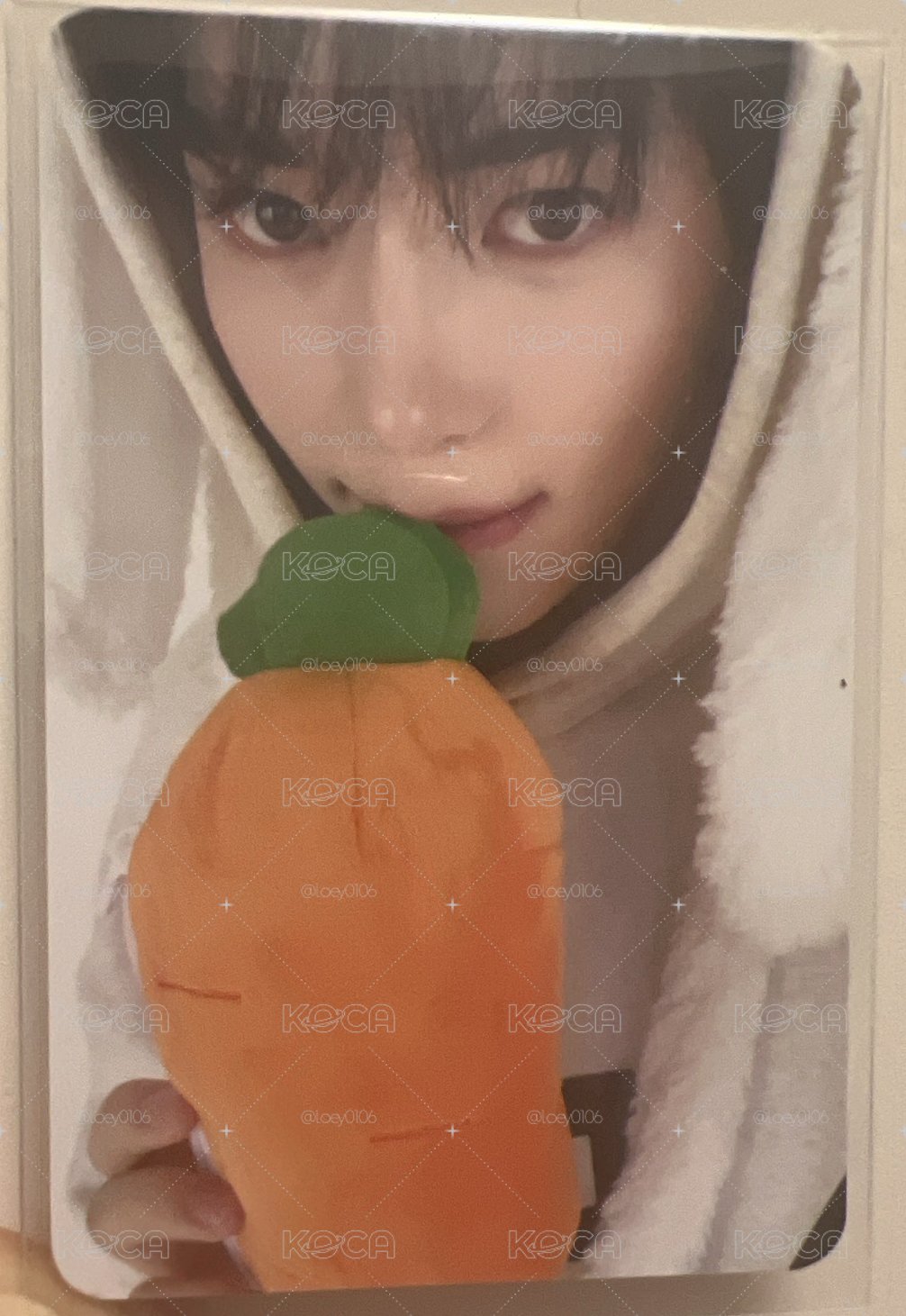 紅蘿蔔彬