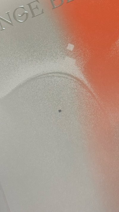 🍀Orange blood 羲承單封全專