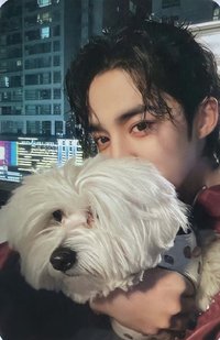 MINI10 yes24 簽售卡 