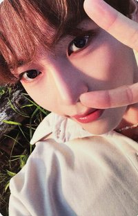 正規一 全通路 單封 特典卡 SPECIAL 預售