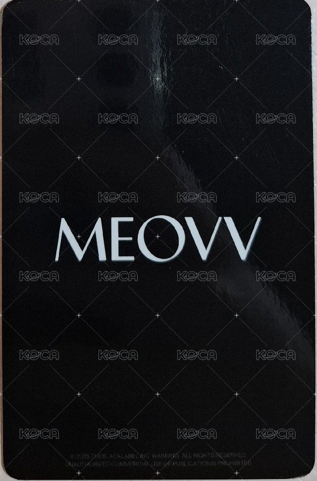 mini 1 打歌卡 hands up2.0打歌卡 背面