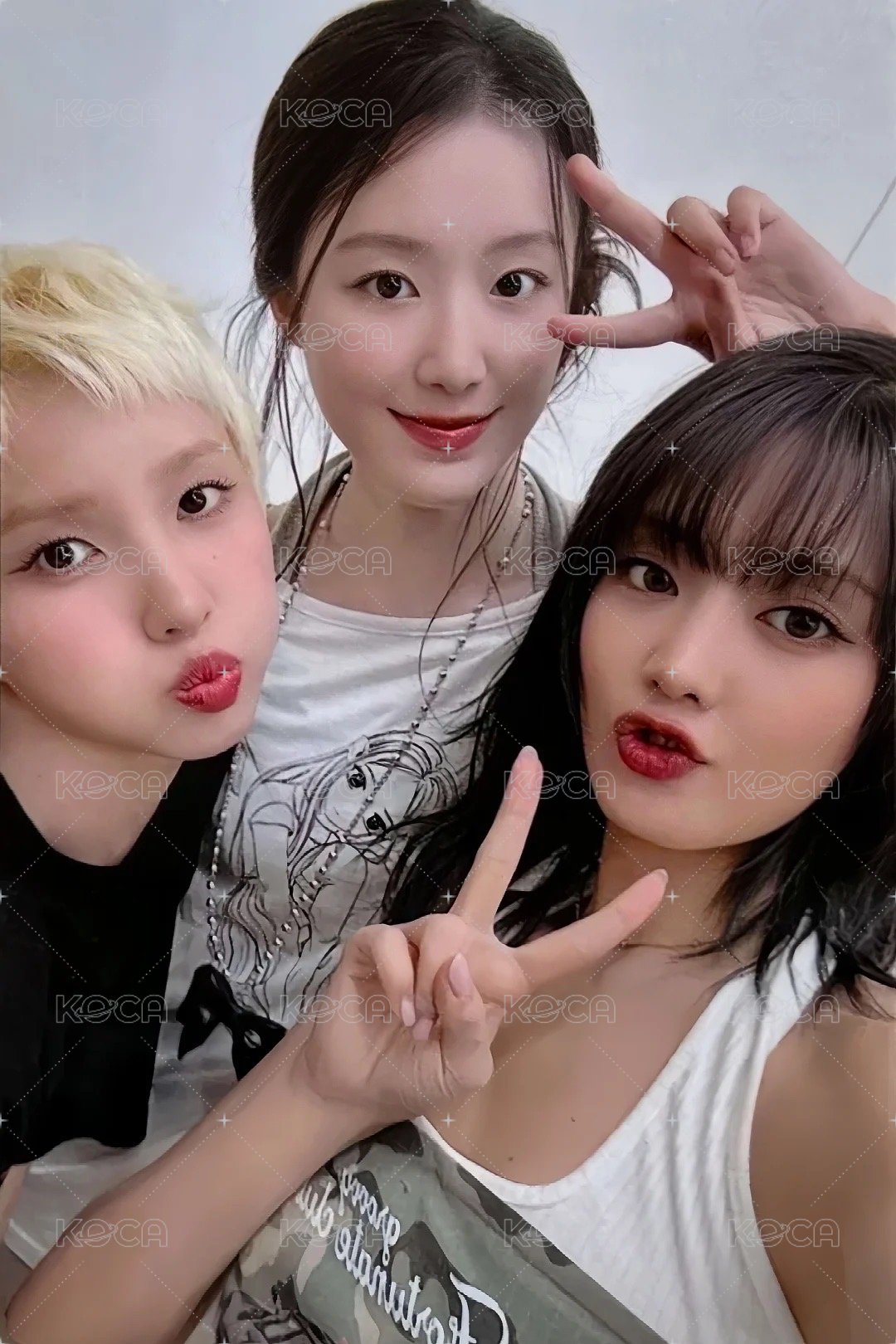 We are 楠藝 線下5.0 幸運卡 團卡 正面