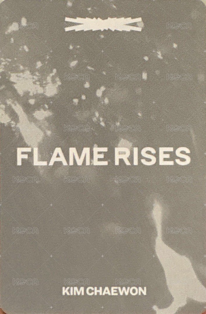 23‘亞巡 演唱會 DVD / CD 卡  背面