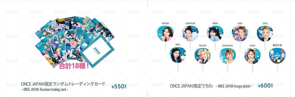 TWICE JAPAN JYP JAPAN 周邊卡 大卡 背面