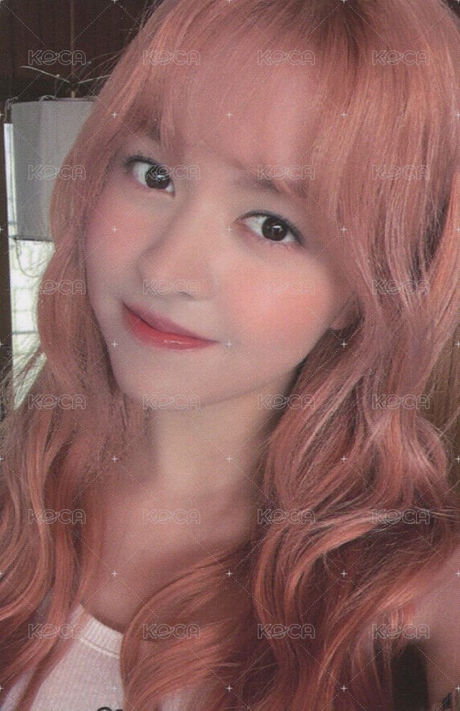 仲夏夜 mp 預售 特典卡  正面