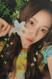 仲夏夜 打歌卡 第一週