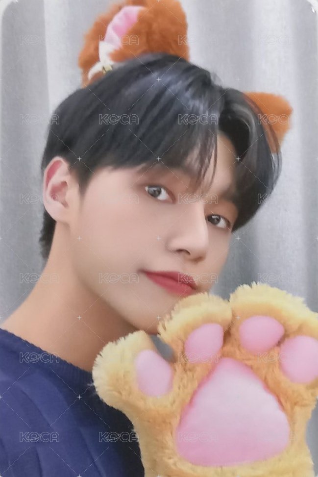 WILL ms 1.0 幸運卡  正面