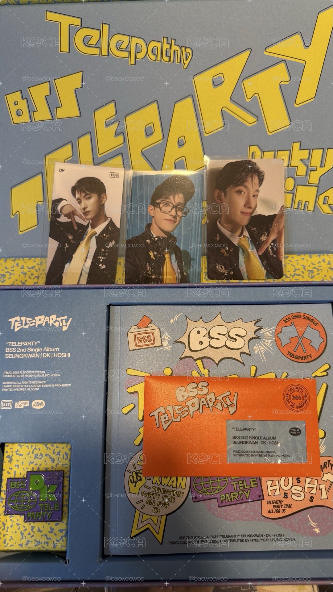 BSS TELEPAPTY DK碩 全專