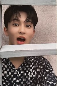 D社 周邊卡 Nct127 Mark