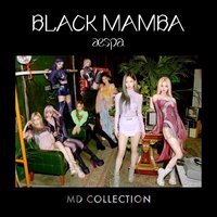 Black Mamba official MD