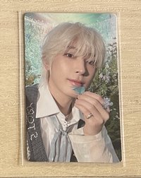 WVS韓通特典金髮圓