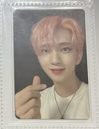 落花 C盤（綁50）