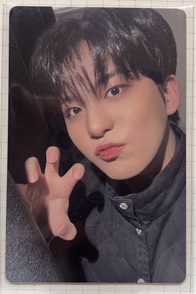 ANITEEZ隨機卡+檸檬🧱 鍾浩