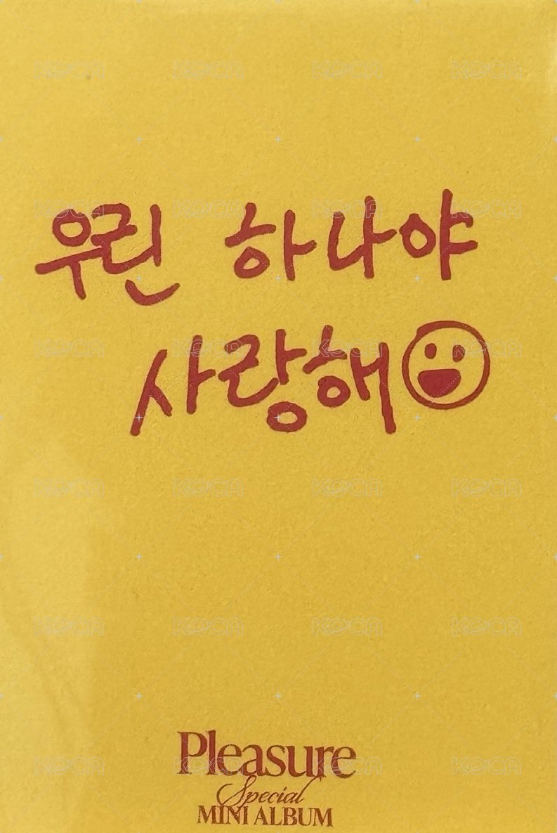 PLEASURE 專輯卡 Yellow ver. 背面