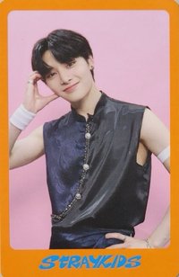 DICON D'FESTA 雜誌卡 