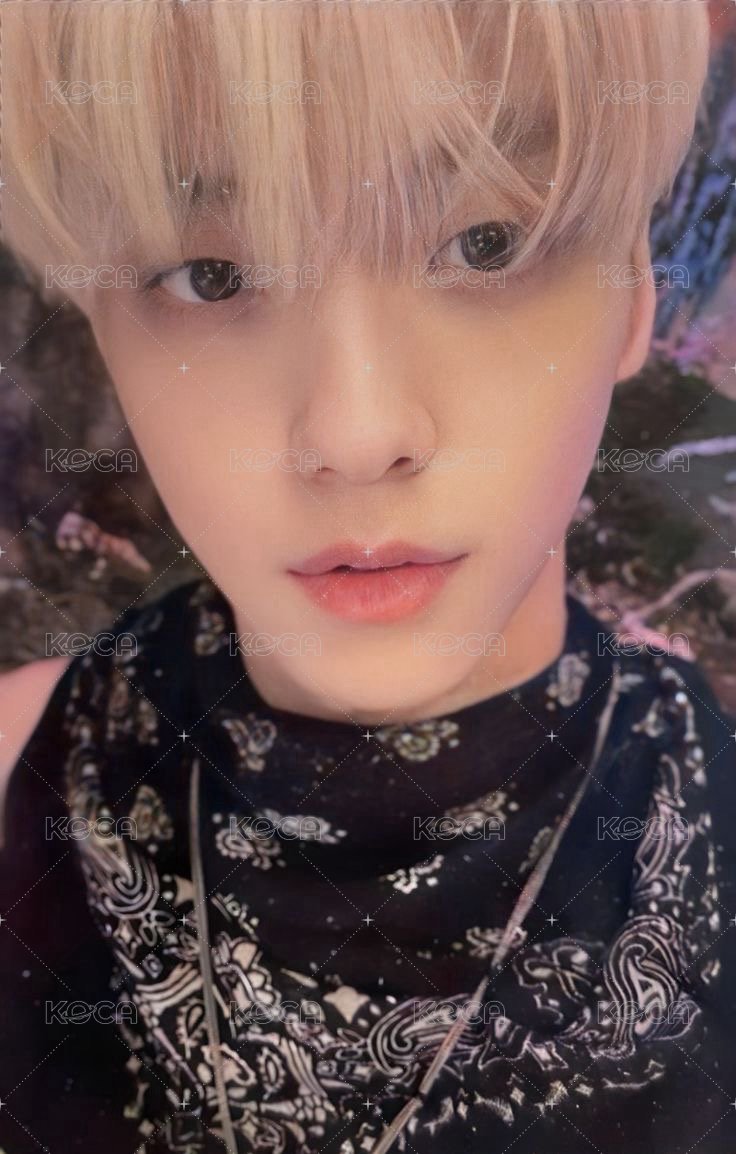 迷五 專輯卡 ver.電子專A 正面