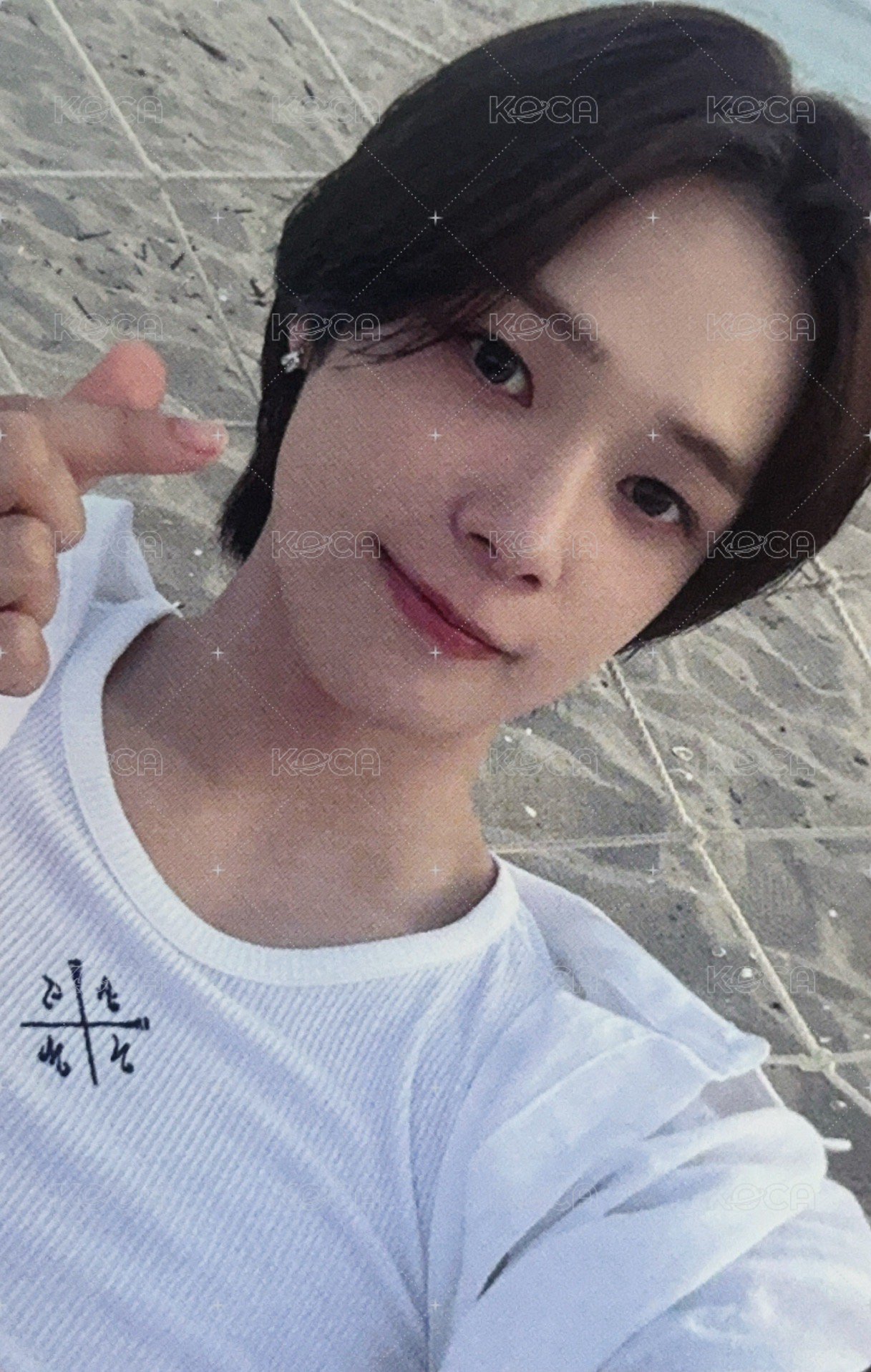 青嵐 (Aoarashi) 專輯卡 單封專卡D 正面