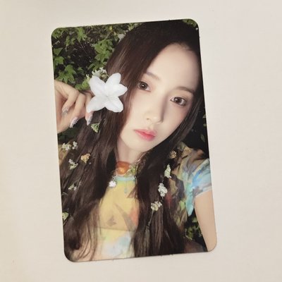 Jiwoo 仲夏夜專卡