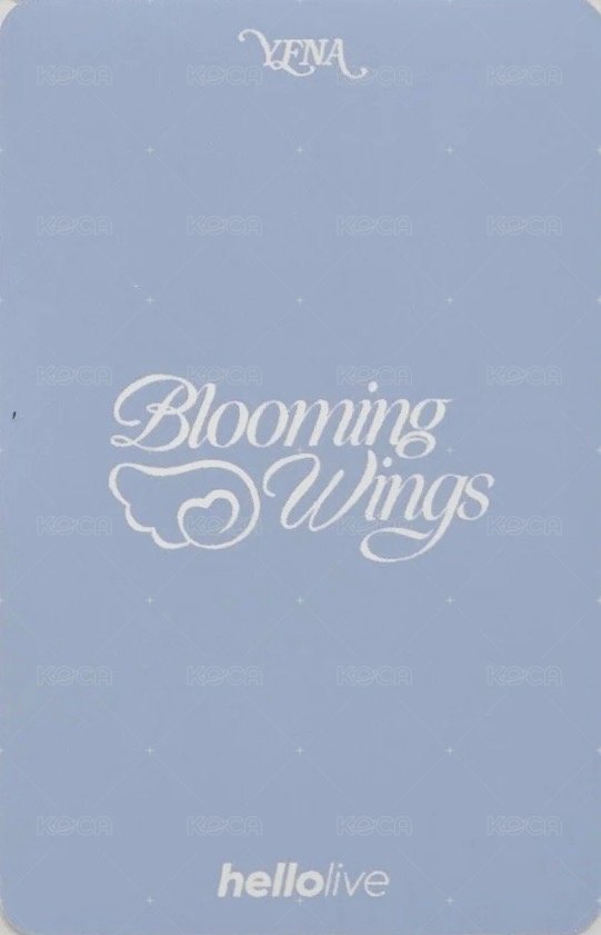 迷四 hl 線上2.0 簽售卡 阿拉蕾 背面