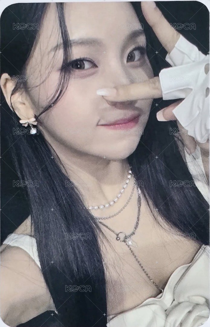 十週年專 bdm 簽售卡  正面