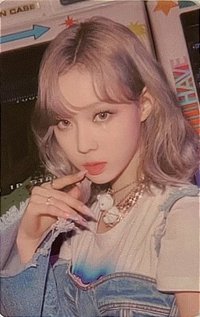 愛寶樂園 周邊卡 1.0 早鳥冬