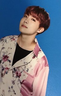 Wings Tour 隨機卡 ver.2 (4/8)