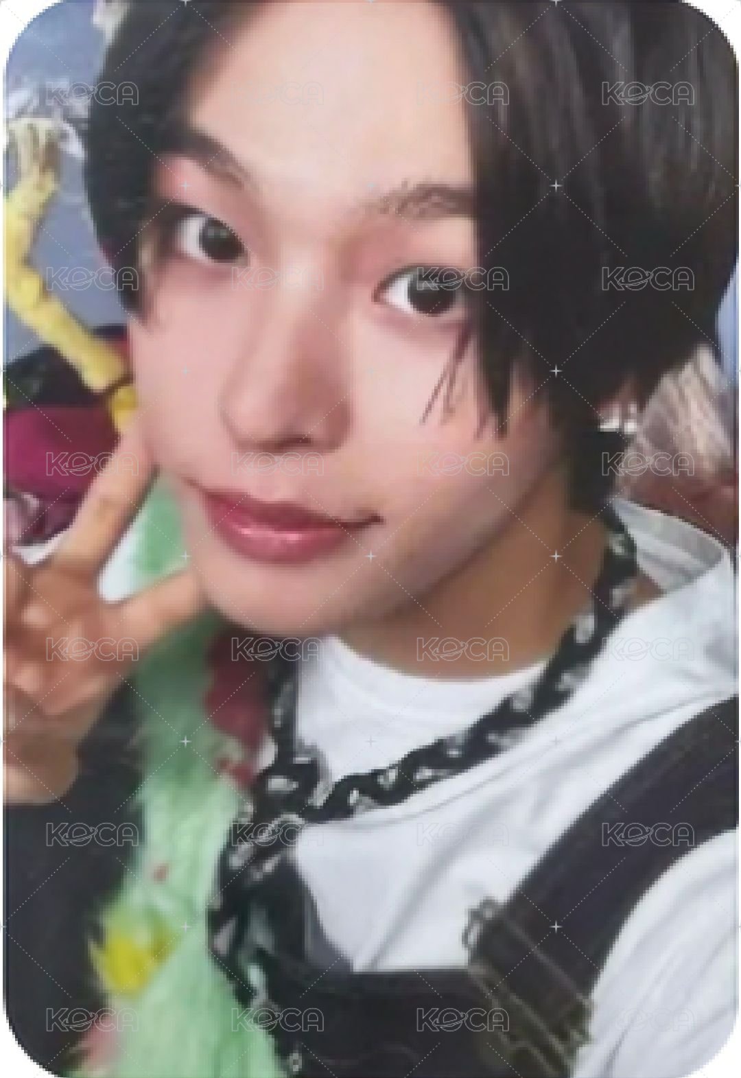 Songbird 專輯卡 Nct Wish Riku  日版專卡 正面