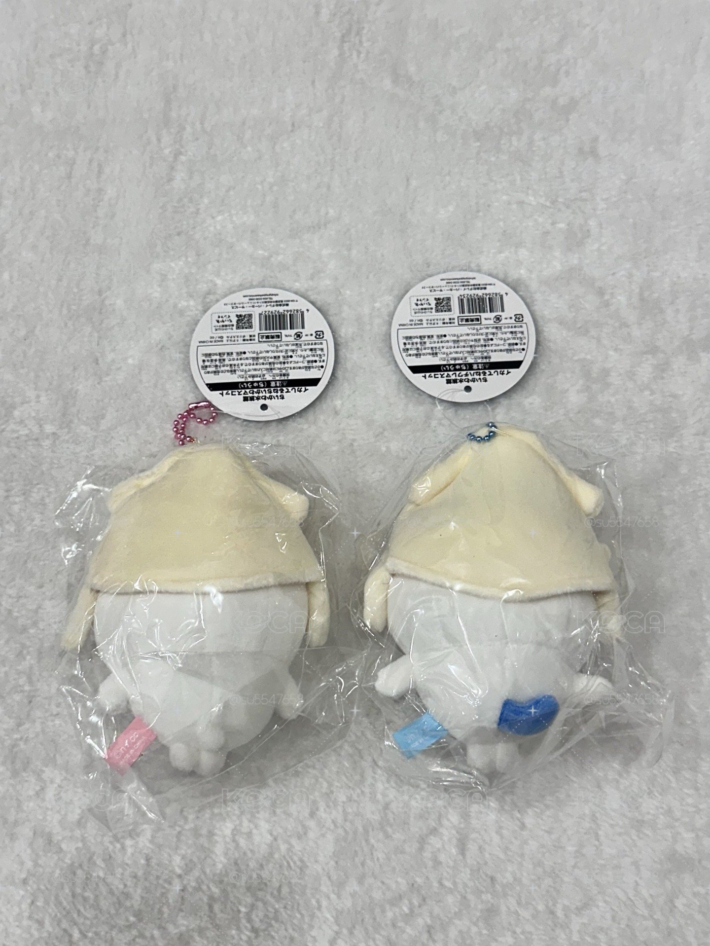 水族館