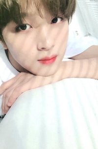 Regulate 專輯卡 百葉窗燦