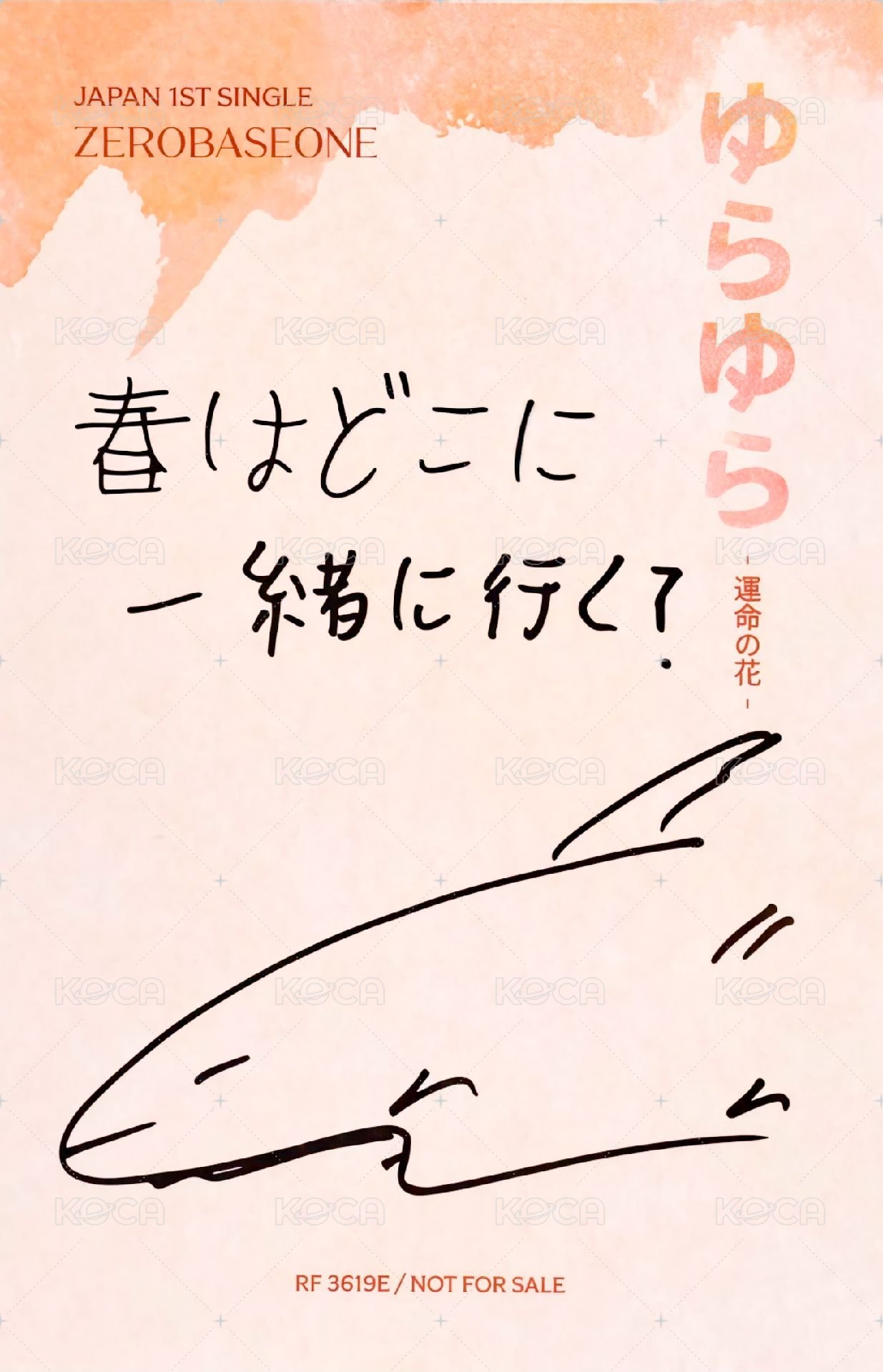 日專 專輯卡 初回A ver. 背面