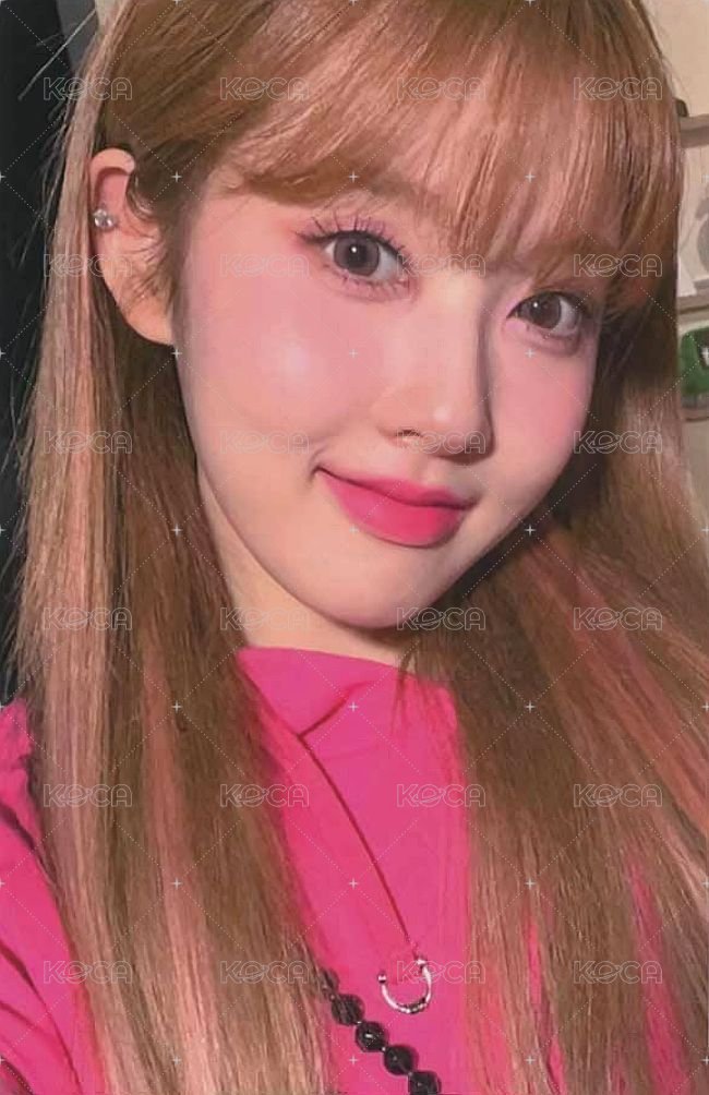 Teddy Bear k4 特典卡  正面