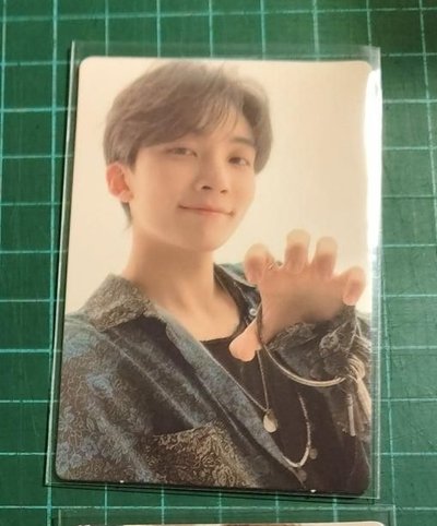 【SEVENTEEN】迷你10&正4克拉盤隨機卡 JEOGHAN MINGYU WONWOO