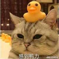 Min✨（下單前請詳讀賣場規則）