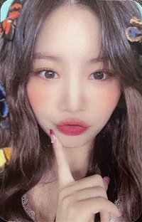 火花 mmt 簽售卡 蝴蝶珍