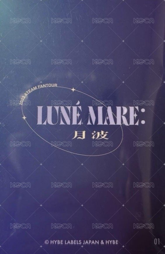 月波 隨機卡  背面