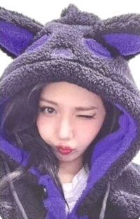 正一 ms 1.0線下 黑貓 簽售卡 