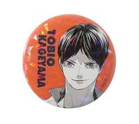 JCS限定 徽章 受注閃徽