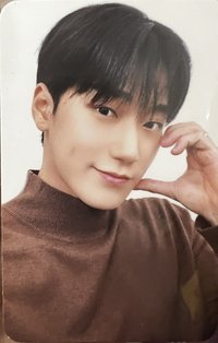 ANITEEZ IN DREAMLAND 周邊卡 長條抱枕卡