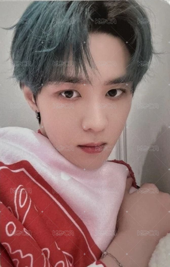 2024聖誕週邊 隨機卡  正面