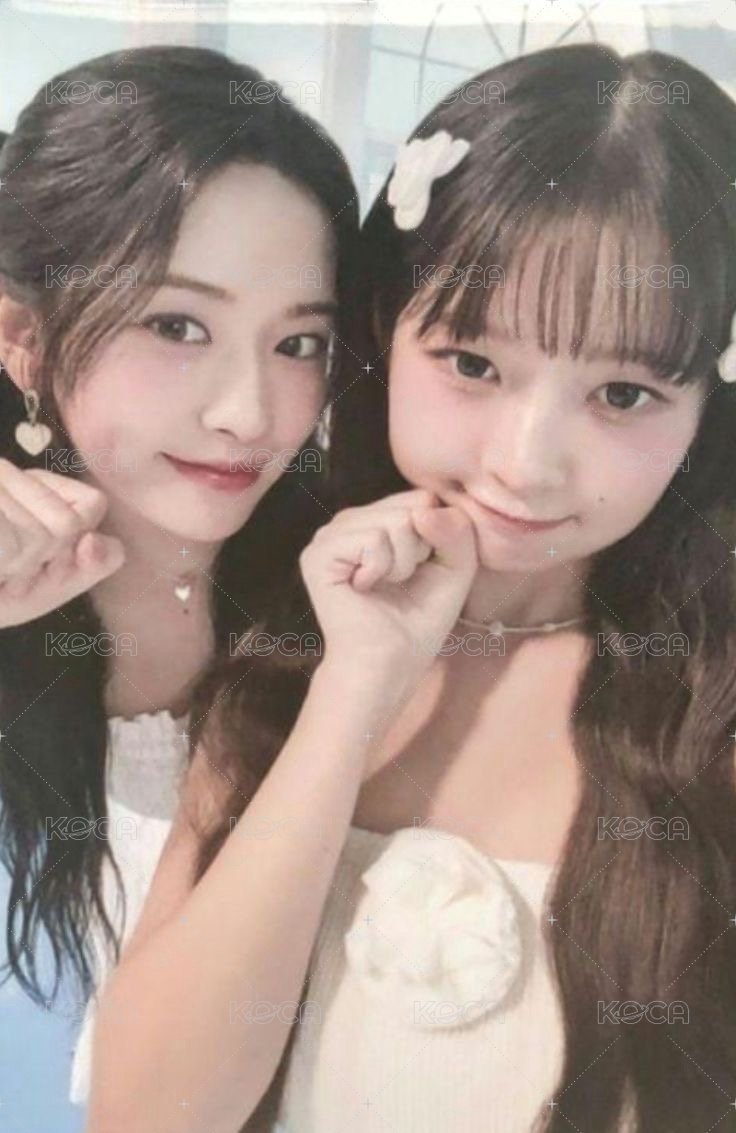 ALIVE as 特典卡  正面