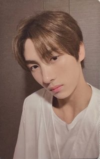 迷一 wvs 電子專 直播卡 