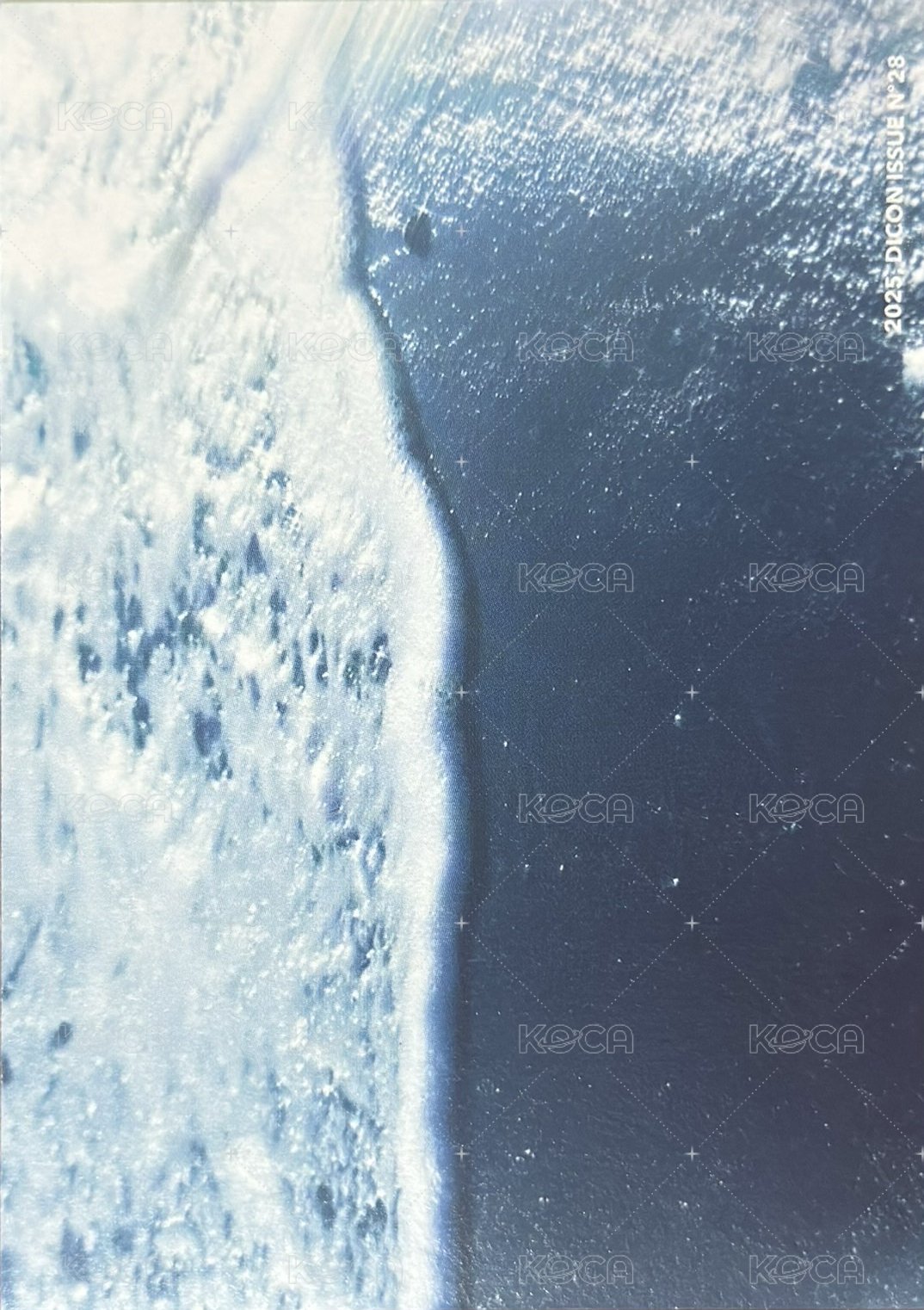 D社/D社日本快閃 明信片 A-TYPE 背面