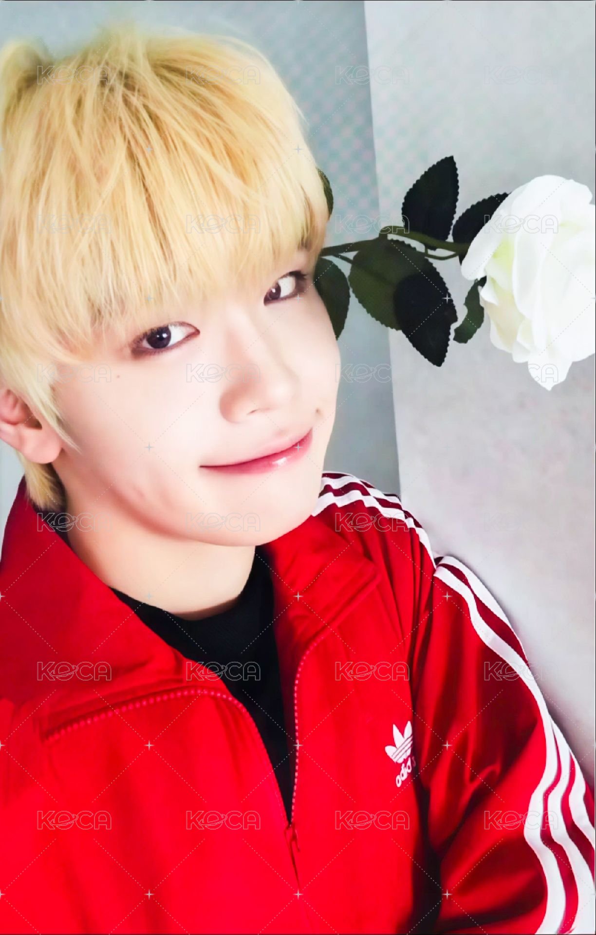 迷四 sr 3.0 特典卡 七夕玫瑰 ver. 正面