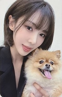 Playlist #You Are You Dreamcatcher KR. 幸運卡 PetCAM.ver