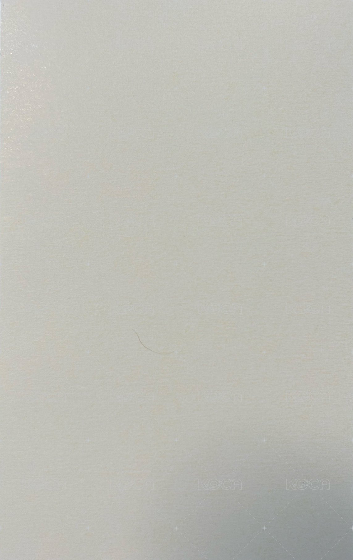 UNFORGIVEN JP 專輯卡 貼紙 背面