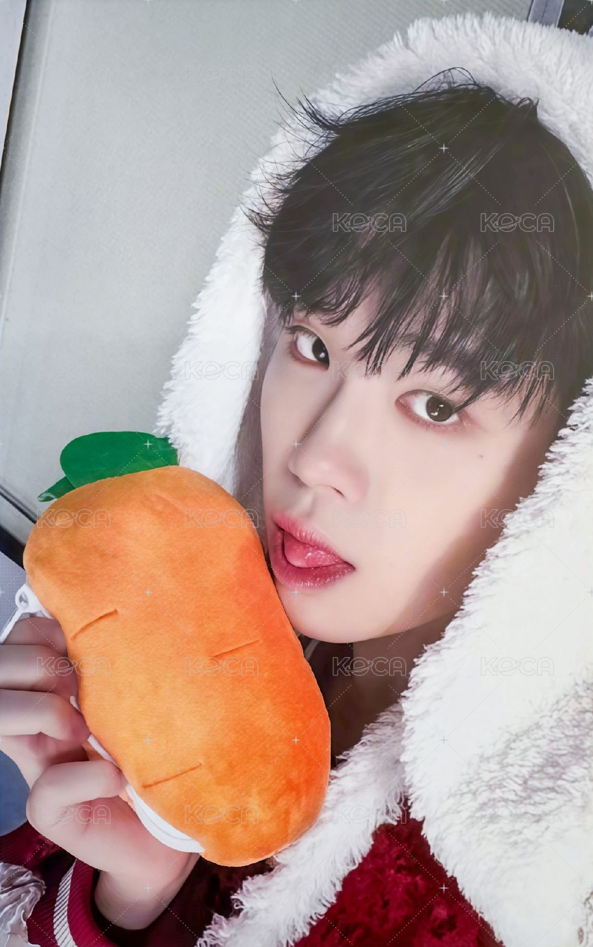 迷五 ms 特典卡 兔毯ver. 正面